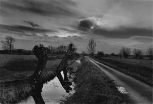 Don McCullin, Somerset levels near Glastonbury, circa 1990